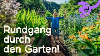 Gartenrundgang Juni 2024  So wächst unser Garten trotz Regen und Schnecken 🐌🌧️ [upl. by Batchelor]