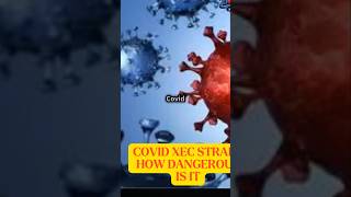 COVID XEC Strain How Dangerous Is It [upl. by Asenaj]