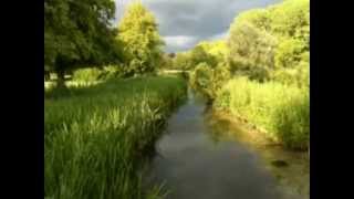 The Bonnie Banks o Loch Lomond [upl. by Ayor]