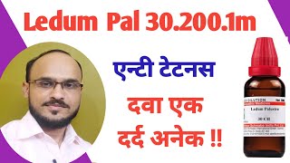 Ledum Palustre  Ledum Pal 302001M Uses in hindi Ledum pal Rheumatism amp Injury [upl. by Thea]