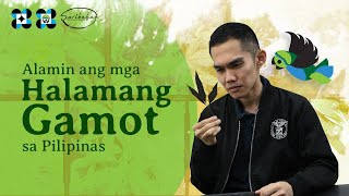 Paano natin mapayayabong ang mga halamang gamot sa ating bansa  Saribuhay [upl. by Canada711]