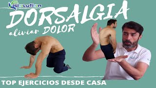 DORSALGIAS  DOLOR de ESPALDA SOLUCIÓN en CASA Ejercicios y Recomendaciones  Fisiolution [upl. by Anoet963]