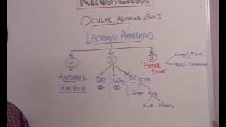 Lecture 1 Lacrimal System [upl. by Verla901]