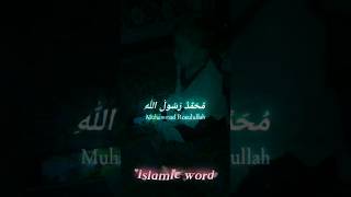 MashaAllah reciting kalima allah shorts viralvideo [upl. by Reaht]