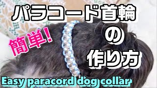 【ペット用品】パラコードで愛犬に首輪を手作り！【paracord】【犬用品】【dog collar】 [upl. by Metzgar502]