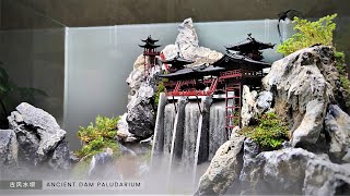 Building Ancient Dam paludarium in Aquarium [upl. by Lambert107]