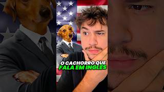 cachorro que fala inglês livedobrino humor MundinhoBrino [upl. by Ardeth38]