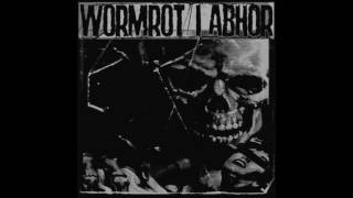 WORMROT  Critical Human Stupidity [upl. by Beck]