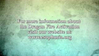 Dragon Wisdom Transmission [upl. by Magdaia]