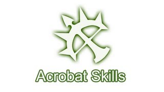 Dragon Nest Acrobat Skills [upl. by Philomena]