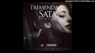 Tremenda Sata 4 Prod By Haku  Arcangel Ft Los Leones  2018 [upl. by Eelyak]