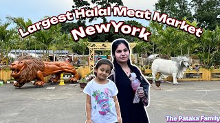 Largest Halal Poultry and Meat Market of NewYork  Ek hi chadh ke niche sab kuch 🍗🥓🥩🍖 [upl. by Hallett]