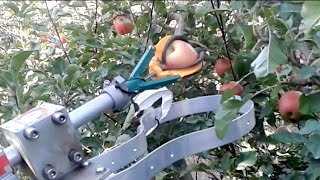 Automatic fruit picker demonstration by FF Robotics  IFTA 2017 [upl. by Zachariah]