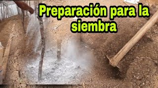 preparación de SUELO para cultivo de TOMATE en invernadero [upl. by Cass926]