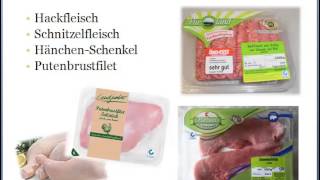 Germana pentru incepatori Lectia 29 Milchprodukte Fisch Fleisch [upl. by Hebrew782]