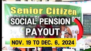 ✅1K MONTHLY SOCIAL PENSION PAYOUT SCHEDULE FOR SENIORS MULA NOV 19 TO DEC 6 2024 [upl. by Enirak]