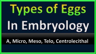 Egg Types in Embryology  A Micro Meso Telo Centrolecithal Eggs [upl. by Zelde783]