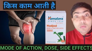 hadjod tablet use in hindi hadjod tablet review [upl. by Teragramyram]