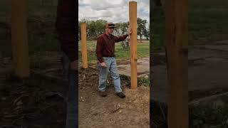 Osage orange fence posts [upl. by Ciccia]