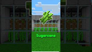 Easy Sugarcane Farm For Minecraft 121 🔥 [upl. by Kama]