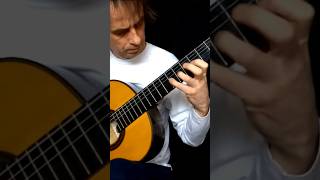 Flight Of The Bumblebee Classical Guitar bumblebee [upl. by Nehemiah]