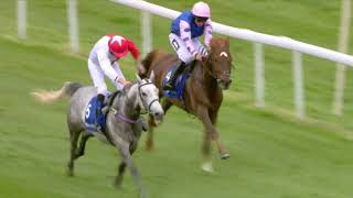 Shadwell Arabian Stallions Maiden Stakes Chepstow 03 05 19 [upl. by Borden]