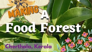 Making a food forest in Cherthala Kerala  Back To Earth Hugelkultur ♻️ World forest day [upl. by Yenmor]