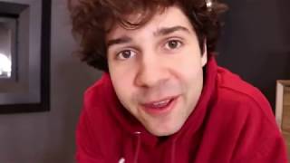 DAVID DOBRIK VLOGS BEST MOMENTS  DECEMBER 2018 [upl. by Ilehs280]