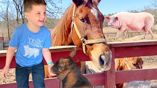 KiDS PETTING ZOO fun Caleb amp Mom VISIT Animal Farm amp LEARN ABOUT Animals Baby Pigs Goats Horses [upl. by Mylan]