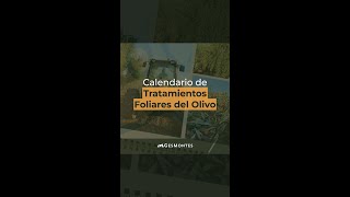 Calendario de TRATAMIENTOS FOLIARES del Olivo [upl. by Akerahs]