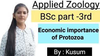 Economic Importance of Protozoa  Applied Zoology  BSc 3rd year  By kusum Chaudhary [upl. by Kentigera131]