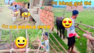 बैस Ko Nahala Diya 😄  Vlogs 108 😜 [upl. by Heer481]