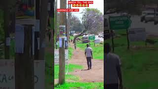 KASONGO YEE YEE 🤣🤣🤣 trending viralvideo photography film funny [upl. by Hanni]