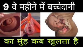 9 वे महीने डिलीवरी कब होगा  Cervix opening [upl. by Ruthven548]