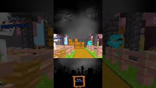 Special for this video minecraft gamerfleetoneblock anshubishtfleetsmp [upl. by Burkhardt]