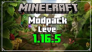 O MELHOR MODPACK LEVE PARA MINECRAFT 1165 [upl. by Barcus]