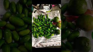 Ma mini garden lo mini harvest😍gardenvegetableslover subscribe songoldsong [upl. by Foushee984]