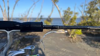 Lure Fishing at Nudgee Beach  difficult conditions but still caught fish [upl. by Whit]