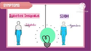 SIADH VS Diabetes Insipidus  English [upl. by Ahsenev887]