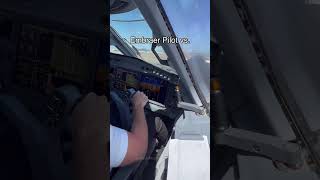 Embraer vs Airbus Pilots During Landing [upl. by Townshend]