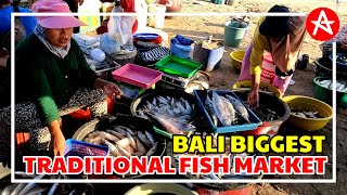 BIGGEST TRADITIONAL FISH MARKET IN BALI [upl. by Ecineg53]