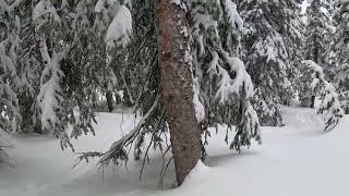 POV 32525 Rad amp Jenn Spring Snowboard at Brighton Ski Resort POWDER DAY [upl. by Tadashi]