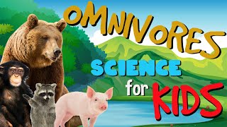 What is an Omnivore  Science for Kids [upl. by Ballou973]