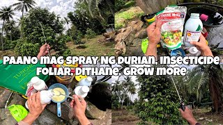 PAANO MAG SPRAY NG DURIAN PUYAT VARIETY [upl. by Belvia]