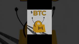 ton bitcoin toncoin ripple blum btc blumbinance crypto [upl. by Arelus858]