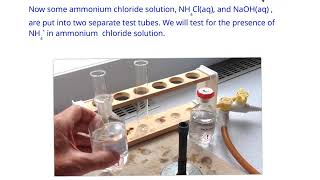 ammonium ion test [upl. by Amethyst]