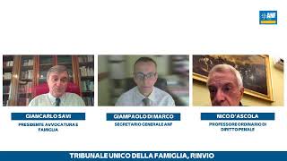 Tribunale unico della famiglia rinvio [upl. by Omsare]