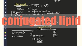 Conjugated lipids PHOSPHOlipids  Glycolipids chromolipids lipopipids Detailed structure Hindi [upl. by Aslam947]