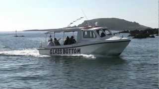 Glass Bottom Boat Trips Looe Cornwall [upl. by Neelloc]