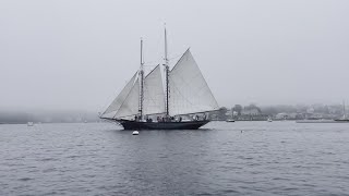 Boothbays Windjammer Days underway [upl. by Conrad198]